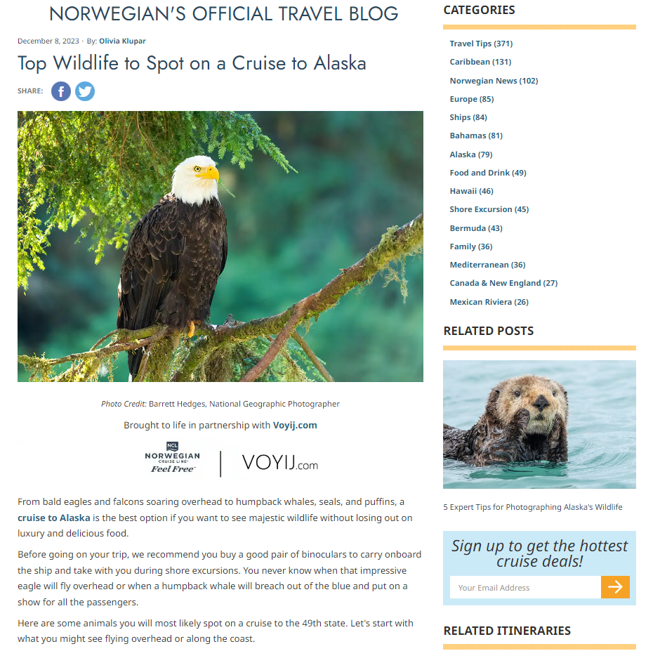 A Norwegian Cruise Line's blog content page