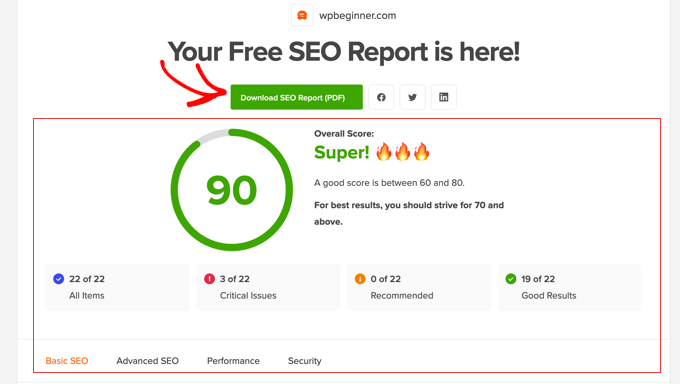 WPBeginner's Website SEO Analyzer