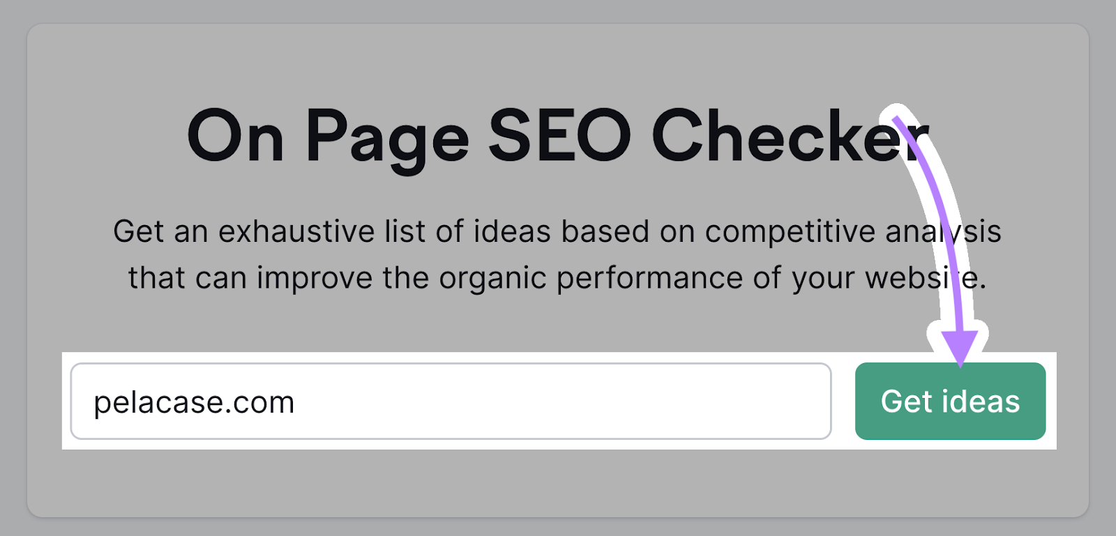 on page seo checker with domain entered