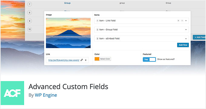 Advanced Custom Fields