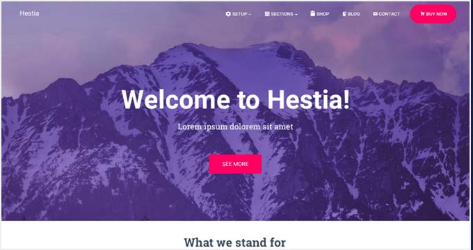 Hestia Free Theme