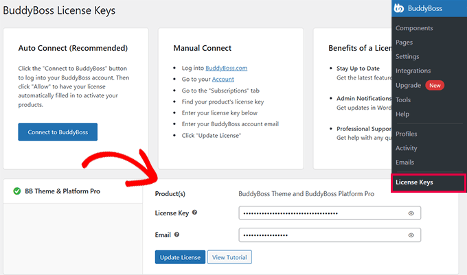 Enter your BuddyBoss license key