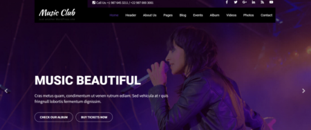 20 Best Music WordPress Theme Options for Musicians